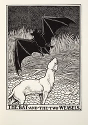 O morcego e as duas doninhas, de Fontaine Fables, pub. 1905