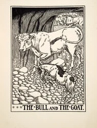 The Bull and the Goat, from A Hundred Fables of Aesop, pub.1903 (gravura)