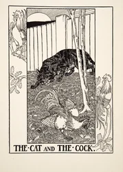 O gato e o galo, de Cem fábulas de Esopo, publicado em 1903