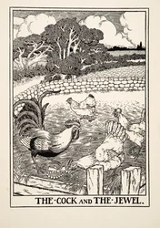 O galo e a jóia, de cem fábulas de Esopo, pub.1903
