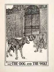 The Dog and the Wolf, from A Hundred Fables of Aesop, pub.1903 (gravura)