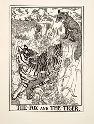 The Fox and the Tiger, de A Hundred Fables of Aesop, pub.1903 (gravura)