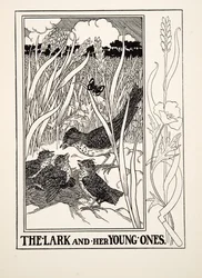The Lark and her Young Ones, de A Hundred Fables of Aesop, pub.1903 (gravura)