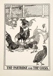 A perdiz e os galos, de cem fábulas de Esopo, pub.1903