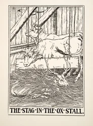 The Stag in the Ox Stall, de A Hundred Fables of Aesop, pub.1903 (gravura)