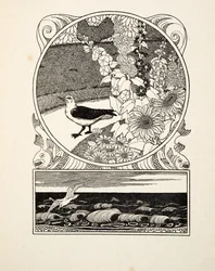 The Tame Seagull, de A Hundred Anecdotes of Animals, pub. 1924 (gravura)