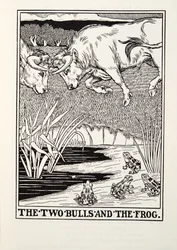 Os dois touros e o sapo, de Fontaine Fables, pub. 1905