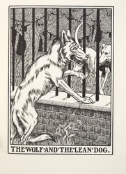 The Wolf and the Lean Dog, de Fontaine Fables, pub. 1905 (gravura)