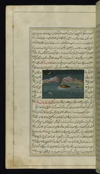 Um ganso e um reflexo da lua na água das Luzes de Canopus