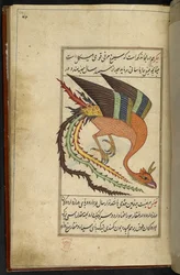 Adicionar MS 15241 f.64r O simurgh, um pássaro-trovão iraniano, da coleção de raridades 