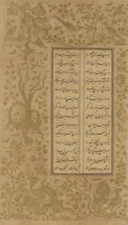 Desenho de videira e pássaro, fólio de Yusuf u-Zulaikha por Jami (d. 1492) Qazvin, Irã, dinastia Safávida, 1557 (tinta e ouro sobre papel)