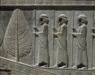 Guardas da Susa. Relevos da escadaria oriental dos Apadana, século VI a.C.