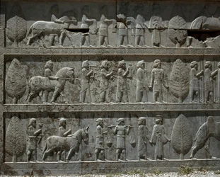 Os povos submissos oferecem presentes a Dario I. Relevos da escadaria oriental dos Apadanos, século VI a.C.