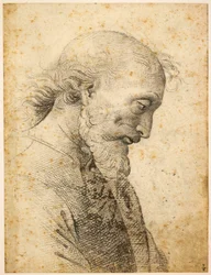 Busto de um homem, 1500-1503.