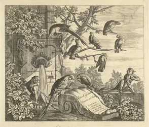 Papagaios e macacos em uma fonte de jardim Pássaros diferentes (título da série)