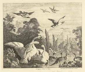 Cisnes e patos num tanque de pássaros
Várias aves (título da série)