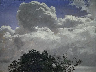 Estudo do céu e da copa das árvores, c.1840 (óleo sobre cartão)