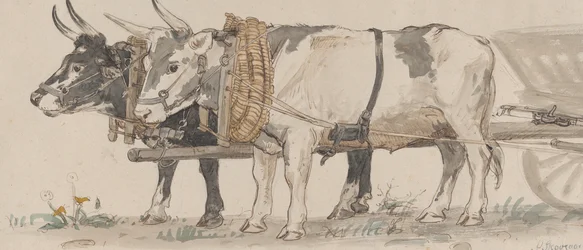 Dois bois puxando um carrinho, 1874.