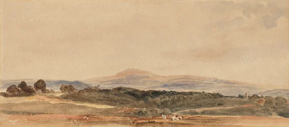 Colheita