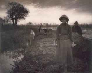 Poling o feno do pântano, a vida e a paisagem nos Broads de Norfolk, 1886