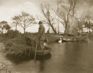 O Cortador de Gladdon Retorna, Vida e Paisagem no Norfolk Broads, c.1886