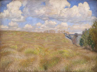 Um campo de centeio ondulante