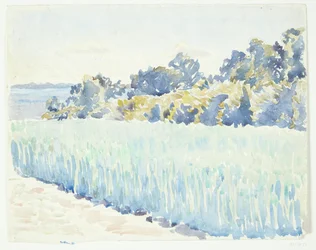 Paisagem de Funen. Campo de milho por uma floresta