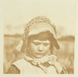 Uma flor de Norfolk
