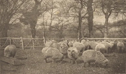 Uma pastoral de outono