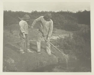 Apanha de enguias nas águas de Suffolk