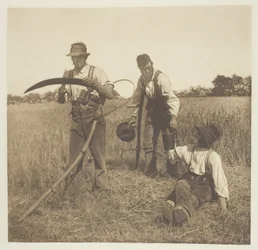 Na colheita da cevada (Suffolk)