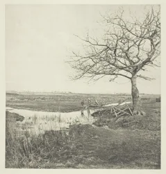 Marcha Sem Folhas (Suffolk)
