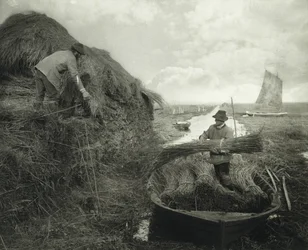 Ricking the Reed, c.1885 (impressão em platina)