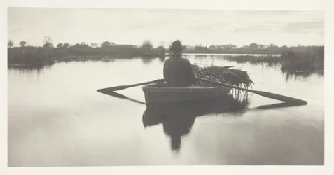 Remar para casa as coisas da Schoof