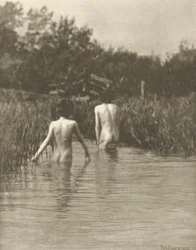 Bebés de água