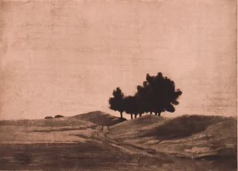 Paisagem noturna