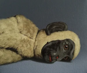 Macaco-morta-vida, 2016