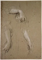 Estudos das Mãos, século XVII (giz sobre papel)