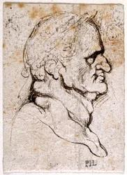 Galba, de dez desenhos de oito dos primeiros doze Césares, depois das medalhas de Giovanni da Cavino (caneta e tinta sobre papel)