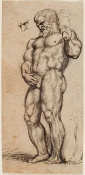 Hércules