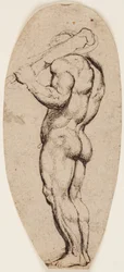 Hércules