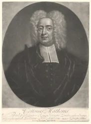 Algodão Mather