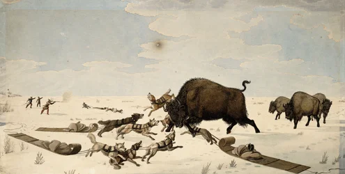Caça ao búfalo, c.1822-1824