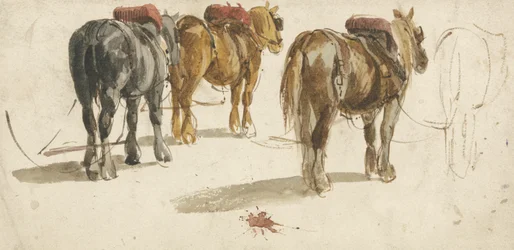 Três cavalos-carroça em rastros, vista traseira (aquarela sobre papel0