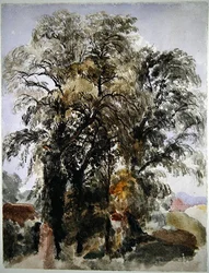 Árvores com Edifícios Agrícolas à Distância (aguarela sobre papel)