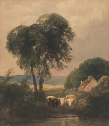 Galesa paisagem com gado.