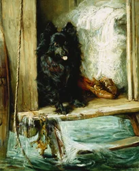 Deixado de guarda - um pomeraniano preto nos degraus de uma cabine de banho sobre rodas