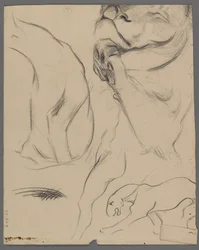 Estudos de um leão (grafite sobre papel)