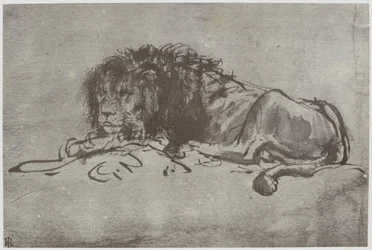 Rembrandt, Um Leão
