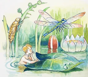 Libélula, ilustração de "The Water Babies" de Charles Kingsley